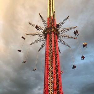 Meet your Posher, Taylor